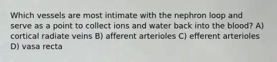 Which vessels are most intimate with the nephron loop and serve as a point to collect ions and water back into the blood? A) cortical radiate veins B) afferent arterioles C) efferent arterioles D) vasa recta