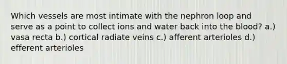 Which vessels are most intimate with the nephron loop and serve as a point to collect ions and water back into the blood? a.) vasa recta b.) cortical radiate veins c.) afferent arterioles d.) efferent arterioles