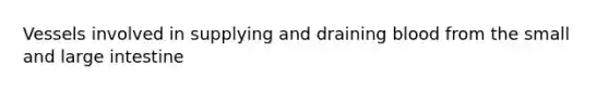 Vessels involved in supplying and draining blood from the small and <a href='https://www.questionai.com/knowledge/kGQjby07OK-large-intestine' class='anchor-knowledge'>large intestine</a>