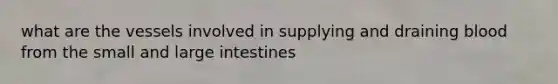 what are the vessels involved in supplying and draining blood from the small and <a href='https://www.questionai.com/knowledge/kGQjby07OK-large-intestine' class='anchor-knowledge'>large intestine</a>s