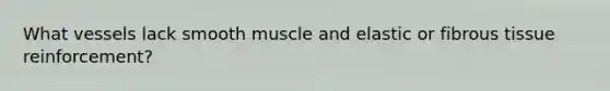 What vessels lack smooth muscle and elastic or fibrous tissue reinforcement?