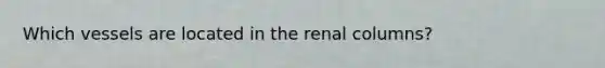 Which vessels are located in the renal columns?