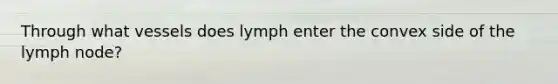 Through what vessels does lymph enter the convex side of the lymph node?