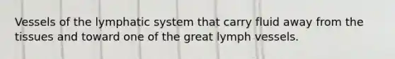 Vessels of the lymphatic system that carry fluid away from the tissues and toward one of the great lymph vessels.