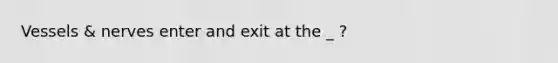 Vessels & nerves enter and exit at the _ ?