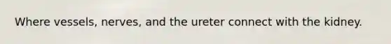 Where vessels, nerves, and the ureter connect with the kidney.