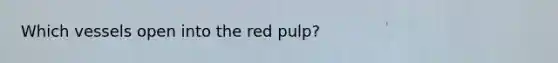 Which vessels open into the red pulp?