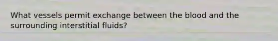 What vessels permit exchange between the blood and the surrounding interstitial fluids?