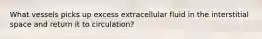 What vessels picks up excess extracellular fluid in the interstitial space and return it to circulation?