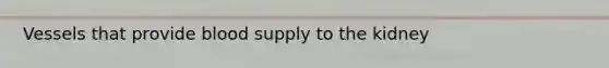 Vessels that provide blood supply to the kidney