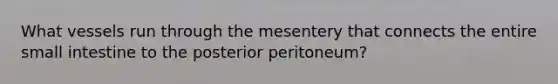 What vessels run through the mesentery that connects the entire small intestine to the posterior peritoneum?