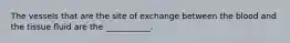 The vessels that are the site of exchange between the blood and the tissue fluid are the ___________.