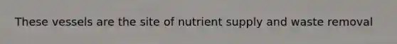 These vessels are the site of nutrient supply and waste removal