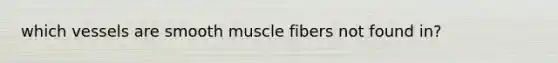 which vessels are smooth muscle fibers not found in?