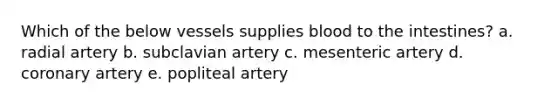 Which of the below vessels supplies blood to the intestines? a. radial artery b. subclavian artery c. mesenteric artery d. coronary artery e. popliteal artery