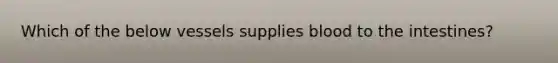 Which of the below vessels supplies blood to the intestines?