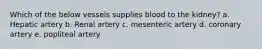 Which of the below vessels supplies blood to the kidney? a. Hepatic artery b. Renal artery c. mesenteric artery d. coronary artery e. popliteal artery