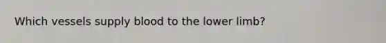 Which vessels supply blood to the lower limb?