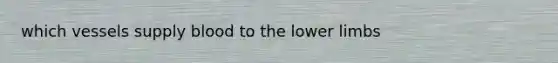 which vessels supply blood to the lower limbs