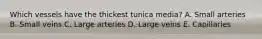 Which vessels have the thickest tunica media? A. Small arteries B. Small veins C. Large arteries D. Large veins E. Capillaries