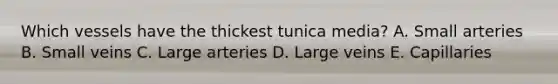 Which vessels have the thickest tunica media? A. Small arteries B. Small veins C. Large arteries D. Large veins E. Capillaries