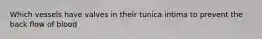 Which vessels have valves in their tunica intima to prevent the back flow of blood