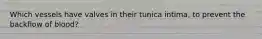 Which vessels have valves in their tunica intima, to prevent the backflow of blood?