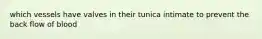 which vessels have valves in their tunica intimate to prevent the back flow of blood