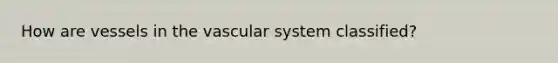 How are vessels in the vascular system classified?