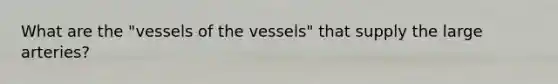 What are the "vessels of the vessels" that supply the large arteries?