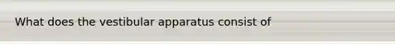 What does the vestibular apparatus consist of