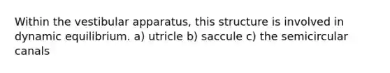 Within the vestibular apparatus, this structure is involved in dynamic equilibrium. a) utricle b) saccule c) the semicircular canals