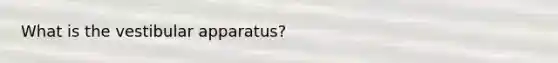 What is the vestibular apparatus?