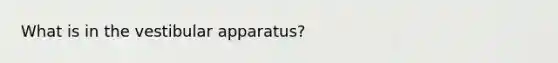 What is in the vestibular apparatus?