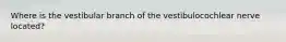 Where is the vestibular branch of the vestibulocochlear nerve located?