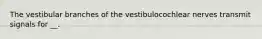 The vestibular branches of the vestibulocochlear nerves transmit signals for __.