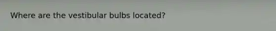 Where are the vestibular bulbs located?