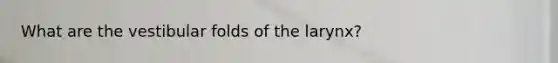 What are the vestibular folds of the larynx?