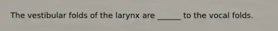 The vestibular folds of the larynx are ______ to the vocal folds.