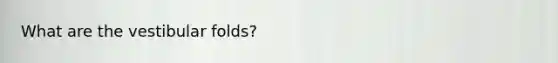 What are the vestibular folds?