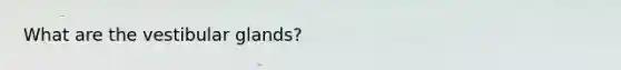 What are the vestibular glands?