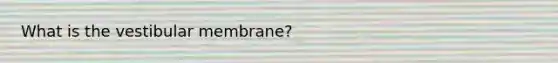 What is the vestibular membrane?