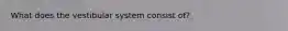 What does the vestibular system consist of?