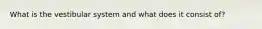 What is the vestibular system and what does it consist of?