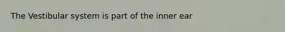 The Vestibular system is part of the inner ear