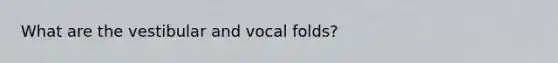 What are the vestibular and vocal folds?