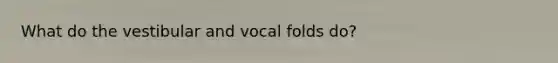 What do the vestibular and vocal folds do?