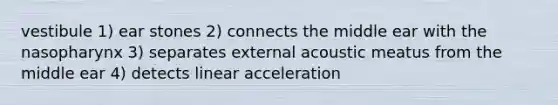 vestibule 1) ear stones 2) connects the middle ear with the nasopharynx 3) separates external acoustic meatus from the middle ear 4) detects linear acceleration