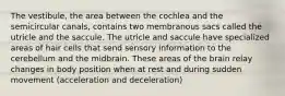 The vestibule, the area between the cochlea and the semicircular canals, contains two membranous sacs called the utricle and the saccule. The utricle and saccule have specialized areas of hair cells that send sensory information to the cerebellum and the midbrain. These areas of the brain relay changes in body position when at rest and during sudden movement (acceleration and deceleration)