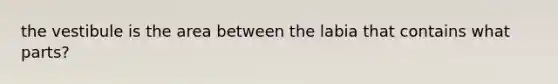 the vestibule is the area between the labia that contains what parts?